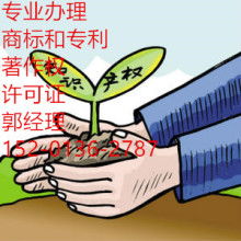 網(wǎng)絡(luò)文化經(jīng)營(yíng) 機(jī)遇、挑戰(zhàn)與合規(guī)之道